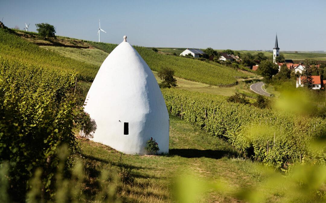 Deutscher Sekt – die neue Spitze der Schaumweinwelt