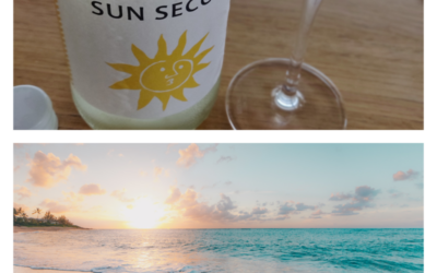 Sun Secco – schmeckt wie Sommer – Weingut Frey (5/10)