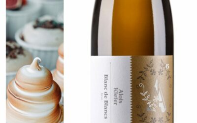 Chardonnay trifft auf Pinot Blanc – Blanc de Blancs 2015 – Weingut Alois Kiefer, Pfalz (7/10)