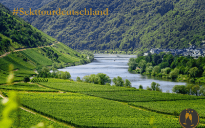 #sekttourdeutschland – Weinregionen und ihre Winzer stellen sich vor!