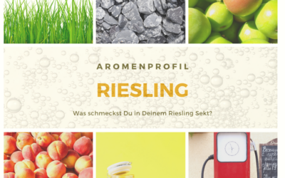 Riesling – König der (Sekt)Rebsorten!