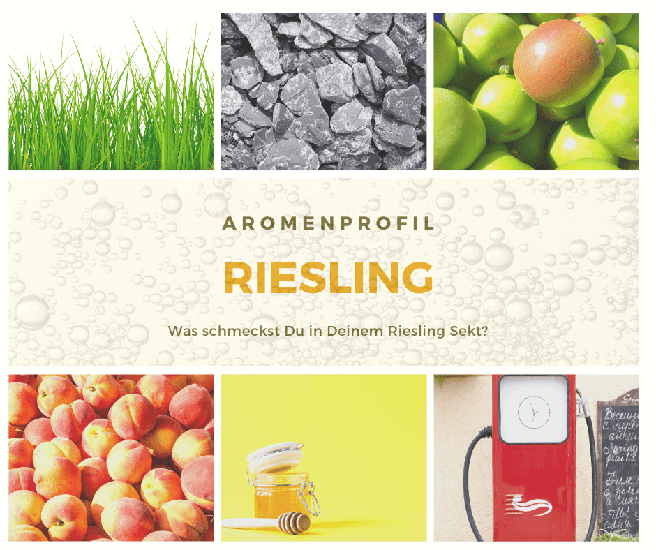 Aromenprofil Riesling
Riesling - kann nur sauer, oder?
Apfel, Pfirsische, Honig, Petrol