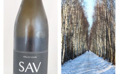 Birkensaft Pétillant Naturel aus Schweden! – SAV Winery (5/10)