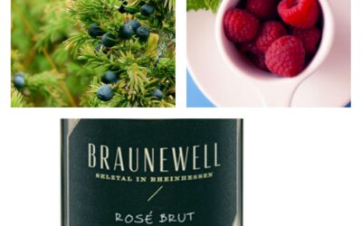 Rosé Brut – Potpourri aus Kräutern, rote Beeren – Weingut Braunewell (7/10)