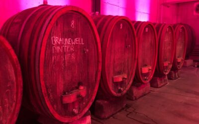 Weingut Braunewell – Ein Weingut auf Erfolgswegen!