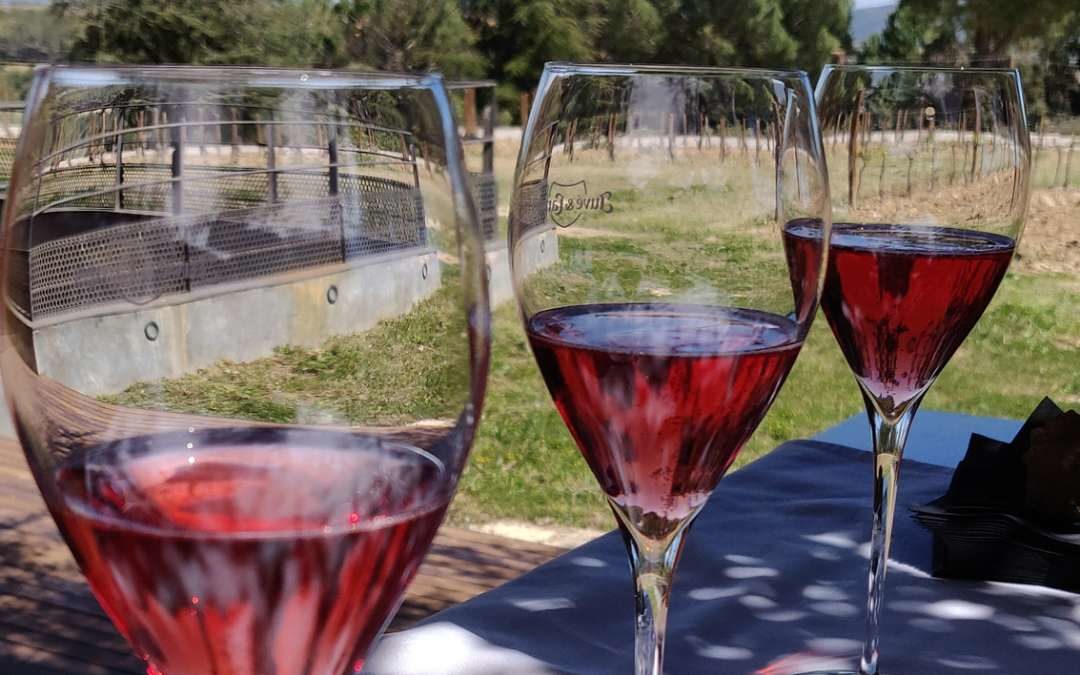 Happy Cava Day: 12.07!