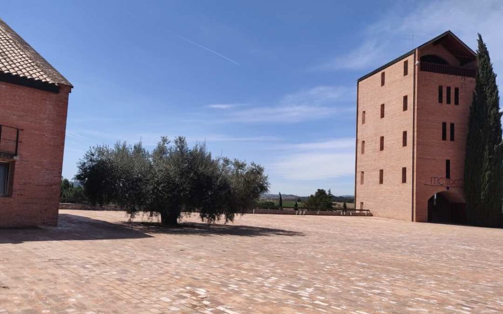 Bodega-Juve-Camps-Cava