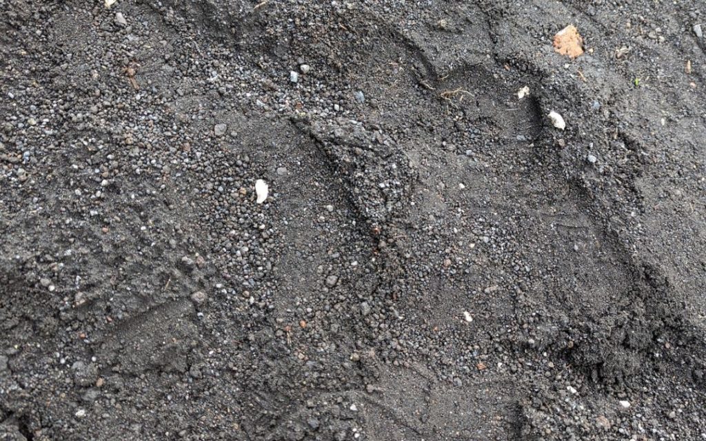 Kampanien – Land des Schaumweins
Vulkanboden am Vesuv