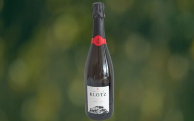 2018 Pinot Extra Brut Weingut am Klotz, Baden