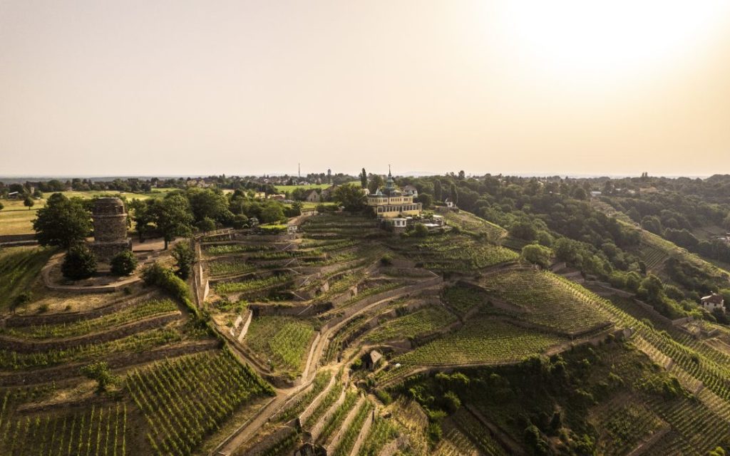 sachsen Weinregion Sekt sekttourdeutschland