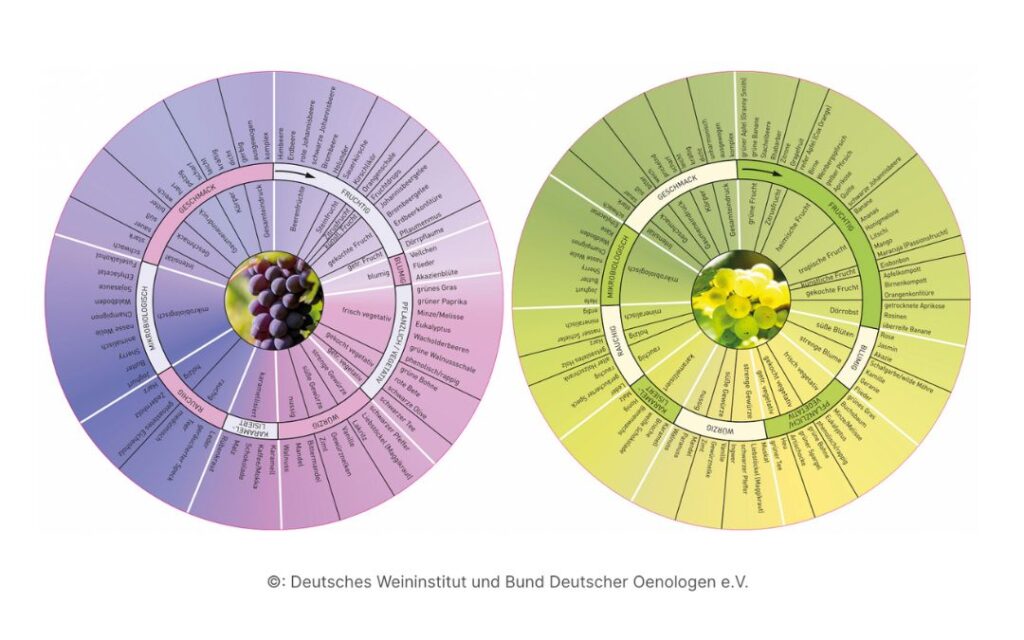 Aromarad-Deutsche-Weine-deutsches-weininstitut