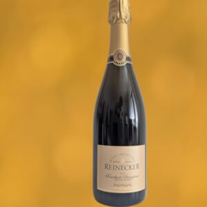Feuerbach Steingässle Pinot Noir 2019 Reinecker