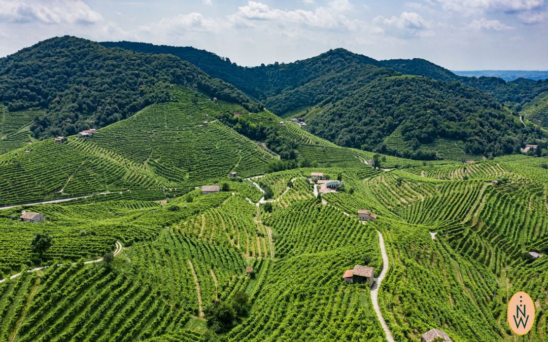 Prosecco Low Alcohol: Warum die DOC Schaumwein mit weniger Alkohol entwickelt!