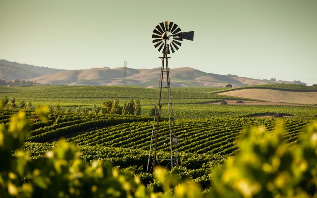 Kalifornien WEinanbau Napa Valley Schaumweinmagazin