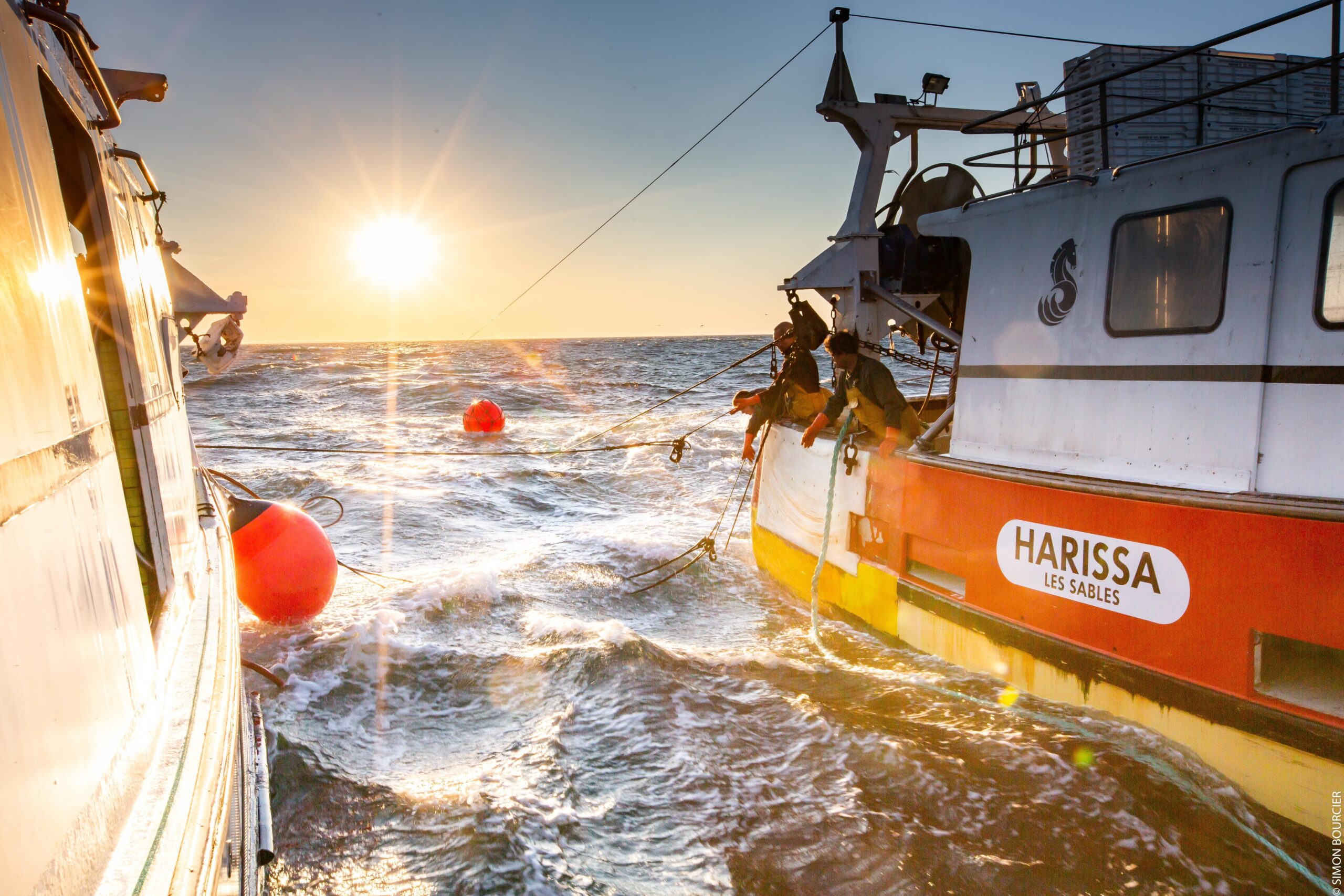 Peche à la sardine PERLE des Dieux
