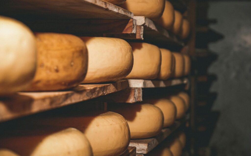 Käseauswahl im Reifelager - Fondue, Raclette und Schaumwein