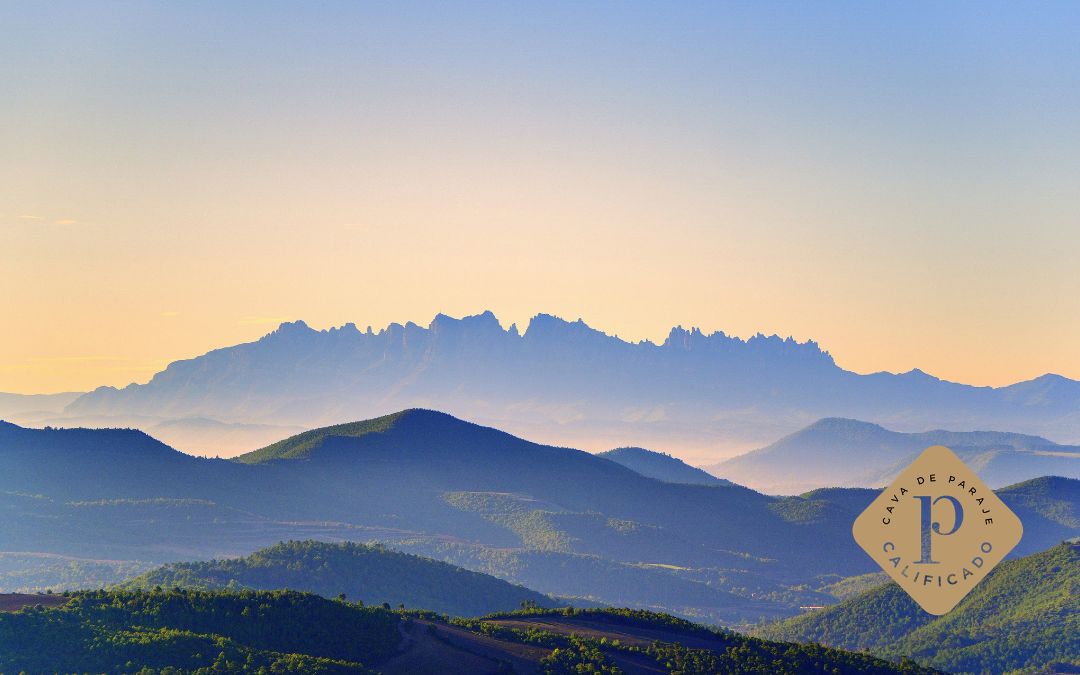 Cava montsant Paraje