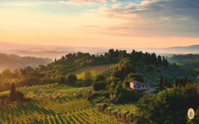 Italien ordnet seinen Schaumwein neu