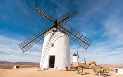 Bio-Wein Spanien: Nachhaltigkeit, Klima und neue Wege