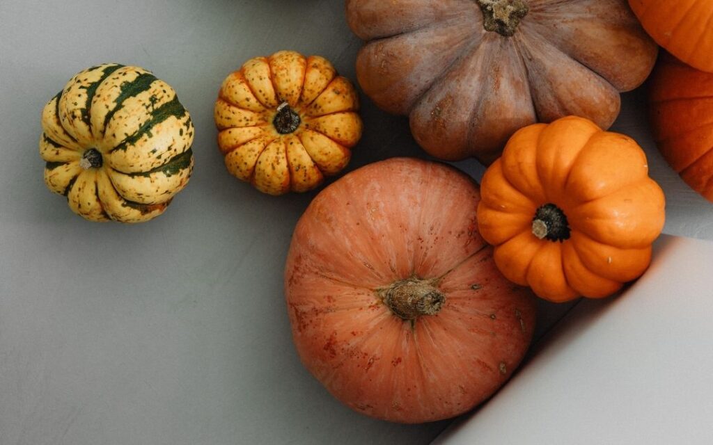 Kürbisse Herbstküche