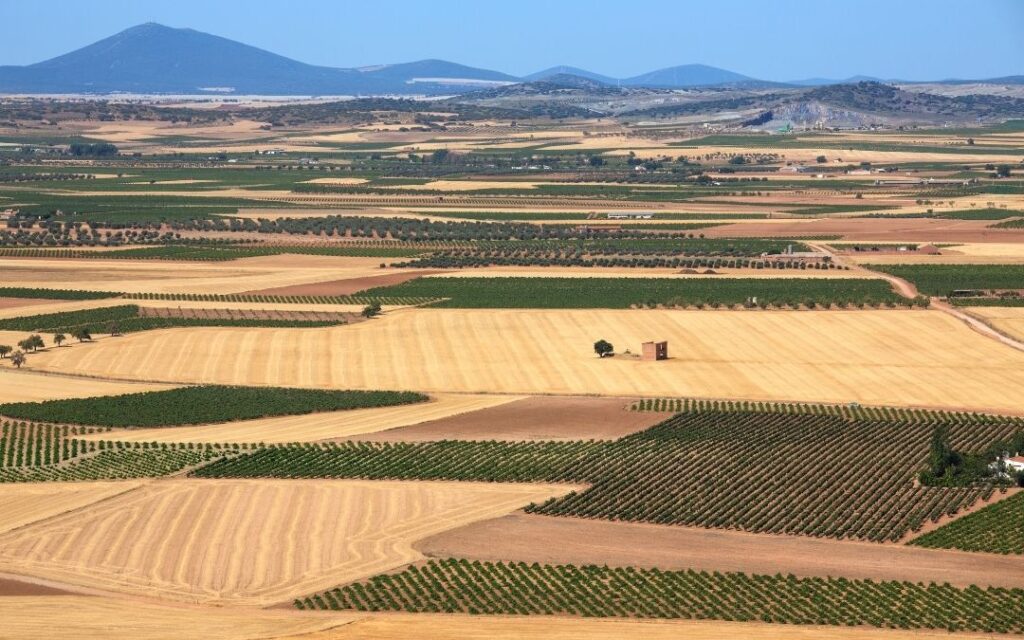 Hitzetest Weinberg La Mancha Felder und Weinberg